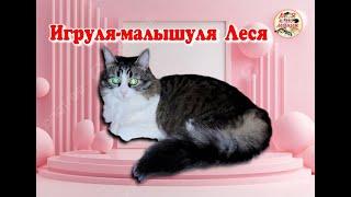 Игруля-малышуля Леся. Little toy Lesya.