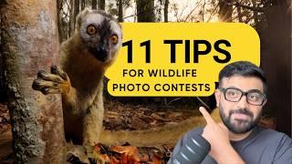 11 Nature Photography Contest Tips and Insights