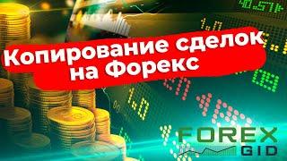 Копирование сделок на Форекс. Настройка CopyFx от Roboforex.