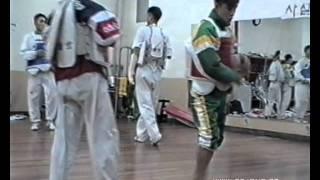 Taekwondo Training in Korea (SKKU Sung Kyun Kwan Univ, 1997)