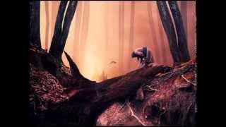 The Pink Floyd Julia Dream