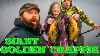 Are 15 inch+ Crappie Too Big? Ice Fishing with Precision Angling in Maine.