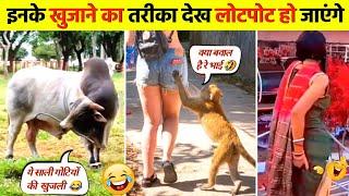 इनके खुजाने का तरीका देख लोटपोट हो जाएंगे  । Try Not To Laugh । Animal Funny