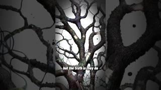The Shocking Truth about How Trees Communicate (EXPLAINED)