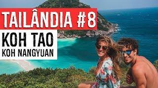 Tailândia #8 | Koh NangYuang | Koh Tao | Duas Passagens