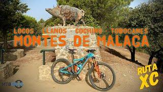   Locos - Llanos - Cochino - Toboganes 🟢 | Montes de Málaga | MTB XC | OCCAM