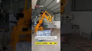 Shandong Kewei Industrial robot ：Handling and palletizing  #machine #palletizer #handlingrobot
