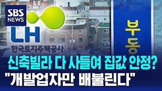 신축빌라 다 사들여 집값 안정?…"개발업자만 배불린다" / SBS