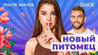 ДОМ-2. После заката (эфир от 29.03.2025)