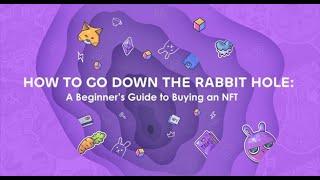 How to Go Down the Rabbit Hole A Beginner’s Guide to Buying a Rad Rabbits