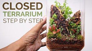 Learn to make a beautiful closed terrarium step by step