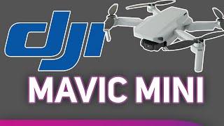 DJI Mavic Mini at Scan Pro Video