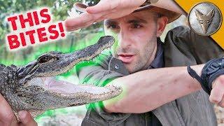 ANIMALS BITE ME...a lot.