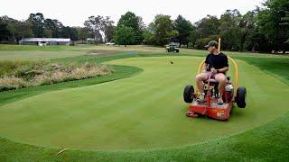 Watch Me Double Cut and Double Roll my Lawn After a Storm