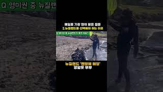 [2]영미권 중, 어느나라가 좋을까요?천만원들고 이민간 5식구 #shorts