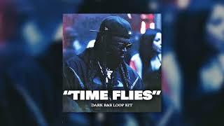 (FREE) PartyNextDoor x Drake Loop Kit "Time Flies" R&B Sample Pack (Vory, Bryson Tiller, Dark RnB)