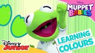 Learning Colours  | Muppet Babies | Disney Junior Arabia