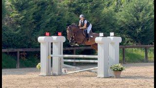 Pass Me The Pepper PP - Laura Lorenzetti sport horses - 5yo