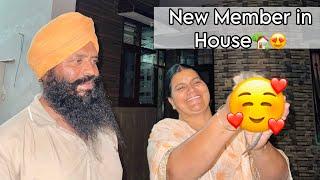 New Member In House | Anmol Bhullar | Vlog