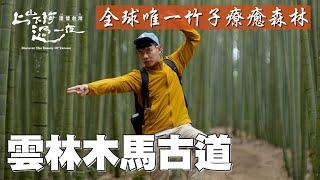 雲林木馬古道 雲嶺之丘 五元兩角步道！全場2.3公里的國際級竹林景觀 夏日推薦的消暑聖地！｜上山下海過一夜 精華