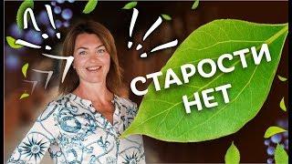 Почему стареет лицо.Топ  причин о которых вы не знаете / Елена Бахтина