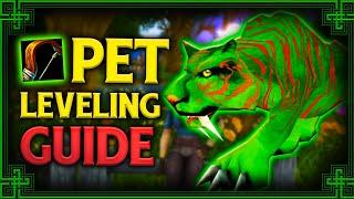 ULTIMATE Hunter Pet Leveling Guide for Classic Fresh