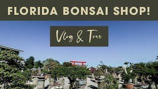 Florida Bonsai Shop Tour | Beautiful Bonsai Trees | Zen Garden