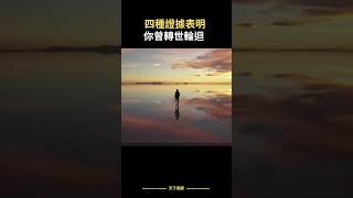 科學證实 輪迴轉世的4種證據  #輪迴#轉世#天下奇觀#Shorts