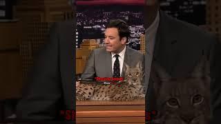 Jimmy Fallon Meets Siberian Lynx