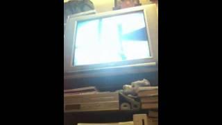 Skate 2 fails and my camera fail