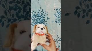 flipkart dog toy unboxing video Rs -445 only #shorts #dog