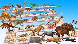 Which Animal vs Dinosaurs vs Mammoth Elephant Speed Race Run Zigzag Down Course! Animal Revolt Battl