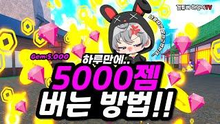 하루만에..5000젬 버는방법!! 하양이 미쳤다!!!! 대박ㄷㄷㄷㄷ[로블록스](킹피스)