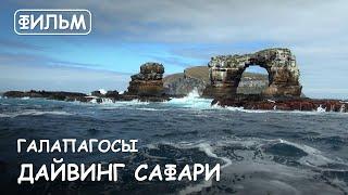 Мир Приключений - Фильм: "Дайвинг сафари на Галапагосах".