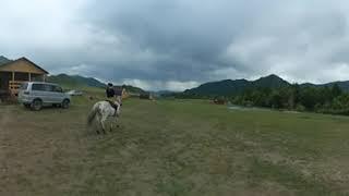 Russia Altai. Horse riding in Ongudai Camp Video 360