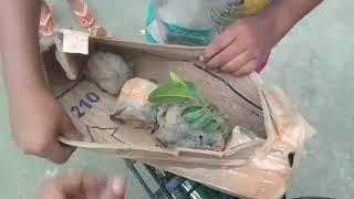 Chiku plant # Flipkart shopping video # Flipkart unboxing video #Baramar lora