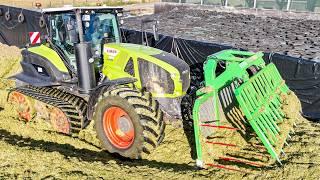 GPS häckseln mit Claas Jaguar 970, Claas Axion 960 Terra Trac, Case Puma, New Holland T7 HD