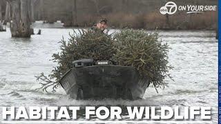 AGFC invites residents to recycle Christmas trees for fish habitat creation