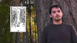 Nine of Pentacles - Upright and Reversed