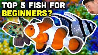 Top 5 Beginner Saltwater Fish from Top Shelf!