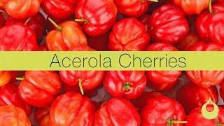 Ingredient of the Week- ORGANIC ACEROLA CHERRIES