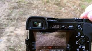 Sony a6000 Live view display setting