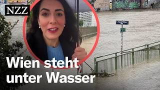 Hochwasser in Wien: Nicht die Donau ist das Problem – sondern der Wienfluss