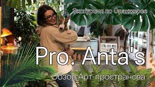 Обзорная экскурсия по Арт-пространсву Pro. Anta's || Прекрасное  Питере @proantas