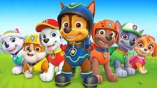 Paw Patrol On A Roll - Save The Bunnies - Fun Pet Kids Games