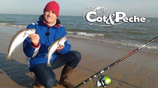 Merlan en Surfcasting