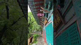 [선암사 극락전] 나무아미타불 #사찰소개 #사찰풍경 #불교 #소원성취발원 #shorts #healing #temple #travel #아미타불
