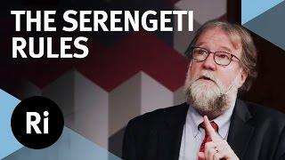 The Rules that Govern Life on Earth - with Sean B Carroll