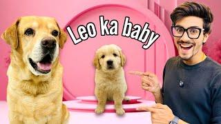 Leo Ka Baby | Papa Ban Gaya Leo | Anant Rastogi