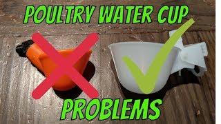 Poultry Water Cup Problems